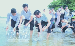 Thả trên 70.000 con cá giống nước ngọt trên sông Hồng