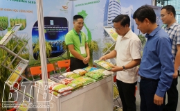 Thái Bình: Phát triển khoa học công nghệ, đổi mới sáng tạo và chuyển đổi số