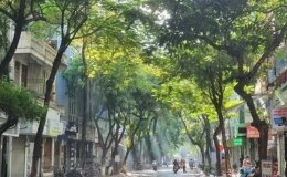 Thời tiết ngày 12/5: Bắc Bộ và Bắc Trung Bộ ngày nắng, đêm có mưa vài nơi