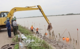 Tiền Hải: Chủ động bảo vệ đê, kè, cống trước mùa mưa bão