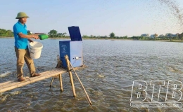 Toàn tỉnh có 300 ha nuôi thủy sản theo mô hình ao bán nổi