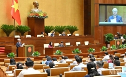 Trình Quốc hội sửa đổi, bổ sung quy định về tổ chức bộ máy của Mặt trận Tổ quốc