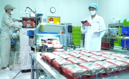 Truy xuất nguồn gốc hàng hóa: Con tem nhỏ, hiệu quả lớn