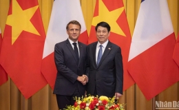 Tuyên bố chung Việt Nam - Pháp