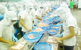 Kim ngạch xuất khẩu thủy sản sẽ đạt hơn 6,8 tỷ USD