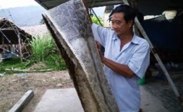 Đồng ý miễn thuế xuất khẩu đối với da trăn nuôi 