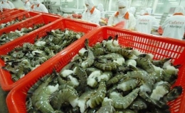 Xuất khẩu tôm vượt mốc hơn 1 tỷ USD