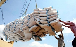 Xuất khẩu gạo đạt gần 3 triệu tấn
