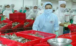 Xuất khẩu sang Australia tiếp đà tăng trưởng