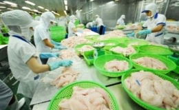 Xuất khẩu thủy sản tháng 5 tăng 8,3%