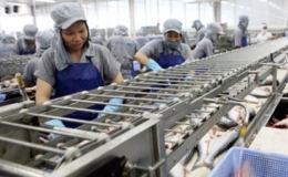 Tăng tỷ trọng đầu tư cho ngành thủy sản