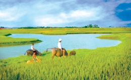 Ký ức tuổi thơ