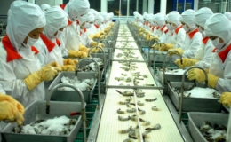 Xuất khẩu nông sản đạt 13,7 tỷ USD trong 5 tháng