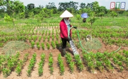 Hưng Hà: Phát huy nguồn lực xây dựng tổ chức hội nông dân vững mạnh