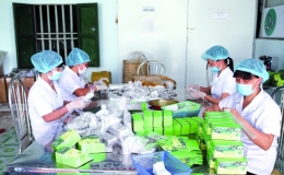 Quỳnh Phụ: Sức hút đầu tư