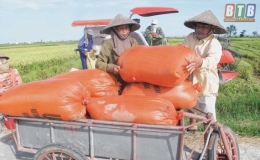 Niềm vui được mùa