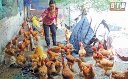 Vốn tín dụng chính sách: Tiếp sức cho học sinh, sinh viên đến trường