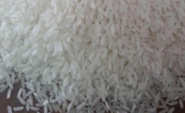 Xuất khẩu gạo bất ngờ tăng vọt giá trị