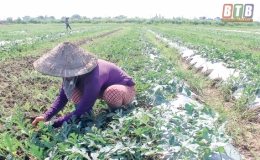 Ông Thuận: Gặp khó không nản