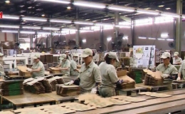 Chỉ số Nhà quản trị mua hàng PMI của Việt Nam tháng 5 giảm nhẹ