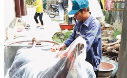 Nam Thắng: Làm tốt công tác tiêu hủy lợn chết vì bệnh dịch tả lợn châu Phi