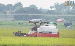 Hưng Hà: Đẩy nhanh thu xuân làm mùa