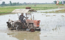 “Chìa khóa vàng” cho nông nghiệp Thái Bình