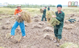 Vũ Thư lan tỏa hình ảnh Bộ đội Cụ Hồ