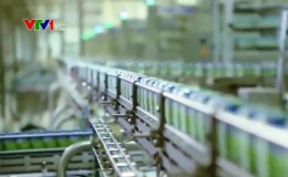 Tháng 10/2019, sữa Việt Nam chính thức xuất khẩu sang Trung Quốc