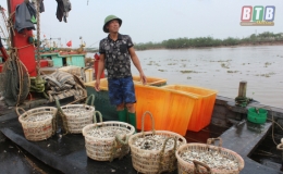 Thái Thụy: Tổng giá trị sản xuất 6 tháng đầu năm tăng hơn 12%