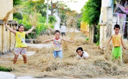 Đống rơm chất chứa hồn quê