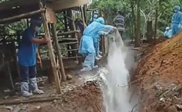 Thêm một tỉnh xuất hiện dịch tả lợn châu Phi