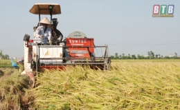 Nhiều mặt hàng nông sản khó xuất khẩu