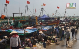Thái Thụy: Sản lượng khai thác thủy sản 6 tháng đầu năm tăng 6,5%