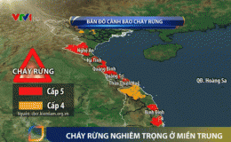 Nhiều tỉnh miền Trung đối mặt với cháy rừng nghiêm trọng
