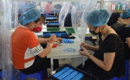 6 tháng đầu năm, toàn tỉnh tạo việc làm mới cho 12.560 người