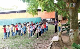 Bảo đảm an toàn trong trường học: Bài học từ sự việc cây đổ gây thương tích cho học sinh
