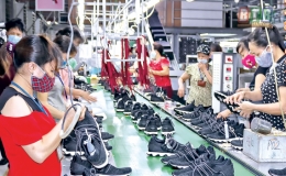 Các doanh nghiệp đón nhận EVFTA
