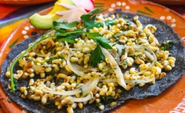 Đặc sản trứng kiến của Mexico
