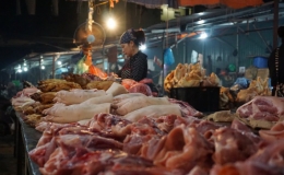 Giá thịt lợn hơi tăng trở lại