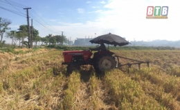 Kiến Xương phấn đấu kết thúc gieo cấy lúa mùa trước ngày 20/7