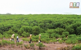 Nắng nóng kéo dài, xâm nhập mặn cao