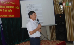 Tập huấn sản xuất lúa theo phương thức mạ khay cấy máy