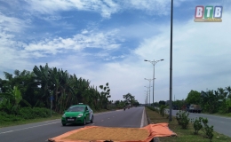 Thành phố: Phơi thóc trên đường - những hiểm họa rình rập