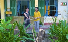 Từ vụ cây đổ, các trường học đề cao an toàn cho học sinh