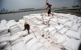 Việt Nam trúng thầu xuất khẩu 60.000 tấn gạo sang Philippines