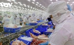 6 tháng, Việt Nam nhập siêu 1,96 tỷ USD