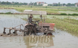 Chuẩn bị cho sản xuất vụ mùa