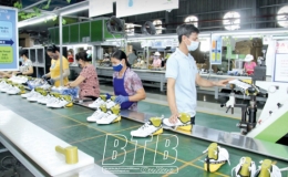 Đông Hưng: Doanh nghiệp chủ động phòng, chống dịch và ổn định sản xuất, kinh doanh
