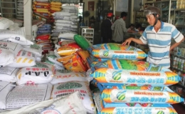 Giá phân bón tăng phi mã trong 6 tháng đầu năm